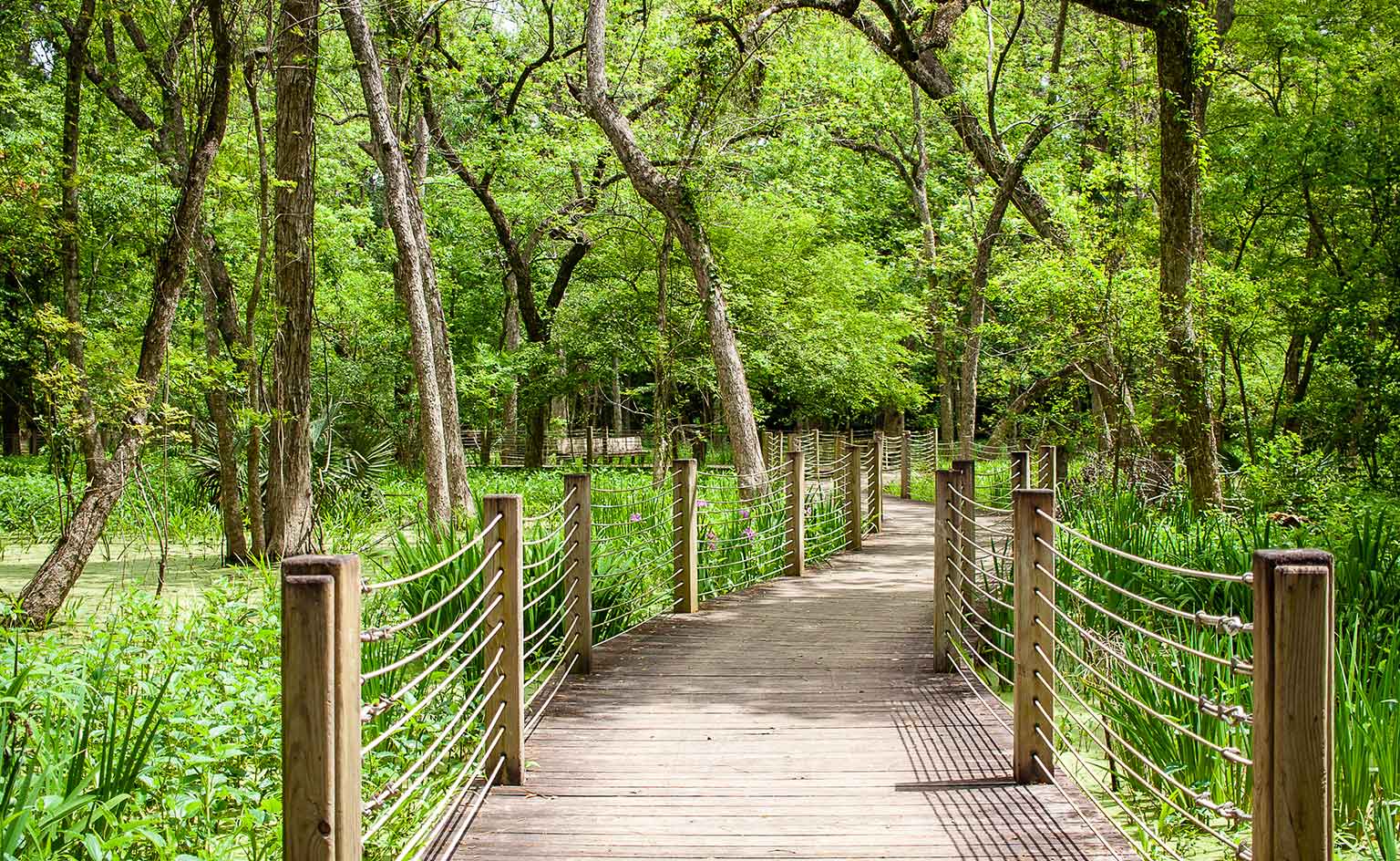 ADDICTION-TREATMENT-CENTER-IN-HOUSTON ADDICTION TREATMENT CENTER IN HOUSTON